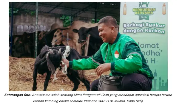 Grab Bagikan Ratusan Ekor Kambing untuk Mitra Pengemudi di Iduladha 1446H