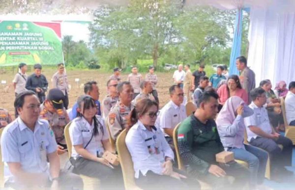 Kolaborasi Pemkab Minut Tingkatkan Produksi Jagung
