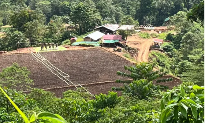Skandal Tambang Emas Ratatotok: WNA Asal Tiongkok dan Rekannya Diduga Otak Utama, Desakan Penangkapan Menguat