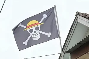 Bendera One Piece Berkibar di Indonesia, Bima Arya Malah Bilang Begini…