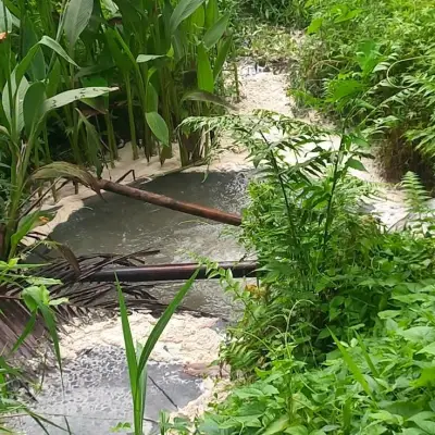 Warga Resah, Ratusan Ikan Mati di Telaga Popontolen Diduga Akibat Limbah