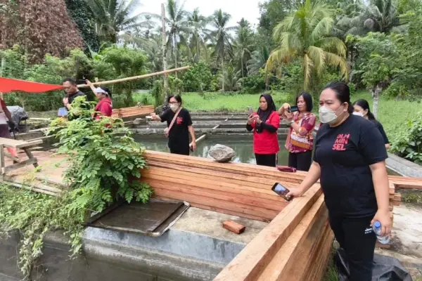 Ikan di Kolam Warga Mati Massal, DLH Minsel Ambil Langkah Cepat Ini