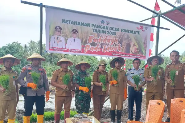 Minahasa Utara Bakal Terima Bantuan Alsintan: Capaian Tanam Dekati Target Kementan