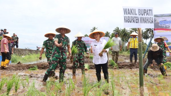 Dandim 1302/Minahasa Pimpin Gerakan Tanam Padi Bersama, Dukung Kedaulatan Pangan