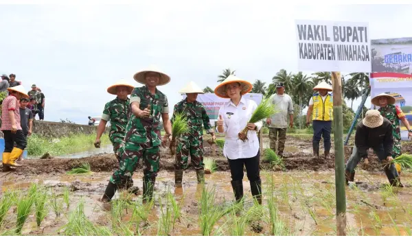 Dandim 1302/Minahasa Pimpin Gerakan Tanam Padi Bersama, Dukung Kedaulatan Pangan