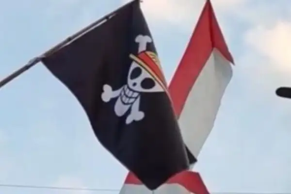 Kompak! Sekjen DPP Demokrat dan Ronald Sampel Soroti Maraknya Pengibaran Bendera 'One Piece'