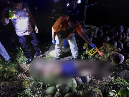 Tak Pulang Seharian, Petani Kelapa di Sangihe Ditemukan Tak Bernyawa