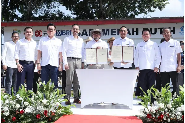 BRI Dukung Program Sapi Merah Putih, Dorong Swasembada Pangan Nasional