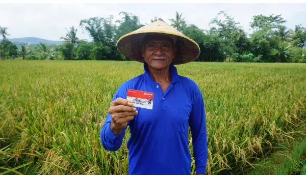 Peringati Hari Tani Nasional, BRI Perkuat Dukungan bagi Sektor Pertanian