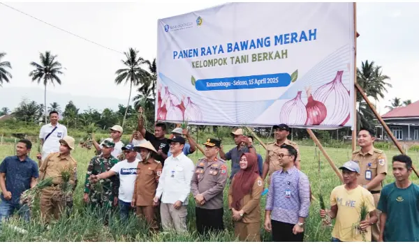 Panen Raya Bawang Merah Puluhan Ribu Pohon, Bank Indonesia Optimis pada Pertanian di Kotamobagu