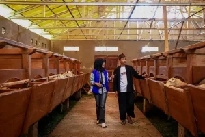 Penyaluran KUR BRI Dorong Setengah Juta Pengusaha UMKM Naik Kelas