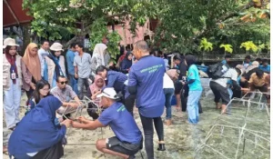 Telkom Regional V Bersama Barracuda Diving Club Tanam 2000 Bibit Karang di Pantai; Halassy