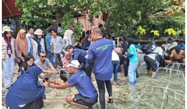 Telkom Regional V Bersama Barracuda Diving Club Tanam 2000 Bibit Karang di Pantai; Halassy