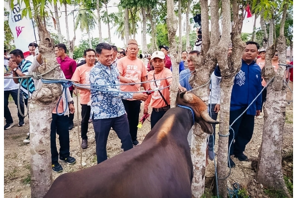 OJK SulutGo Perkuat Ekonomi Daerah Lewat Kemitraan KUR Ternak Sapi