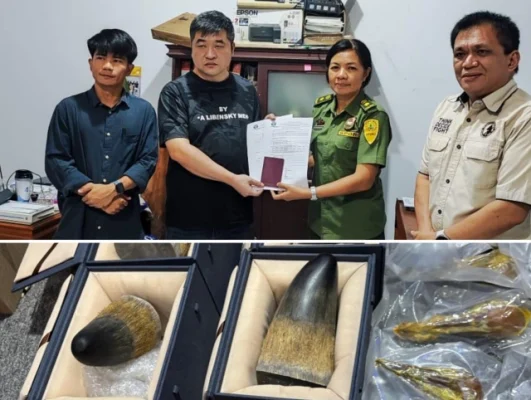 Terbukti Tak Bersalah, WNA China Dibebaskan dari Tuduhan Penyelundupan Cula Badak Ilegal ke Manado