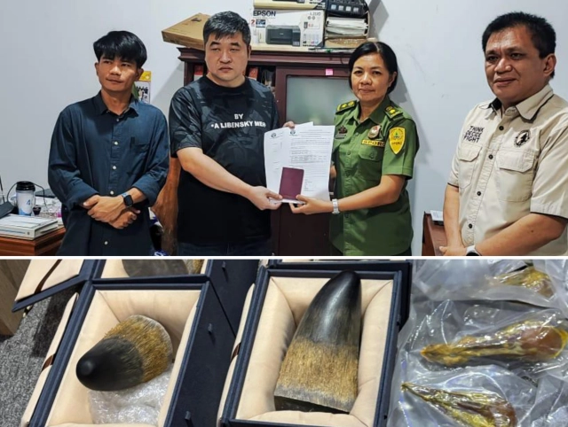Terbukti Tak Bersalah, WNA China Dibebaskan dari Tuduhan Penyelundupan Cula Badak Ilegal ke Manado