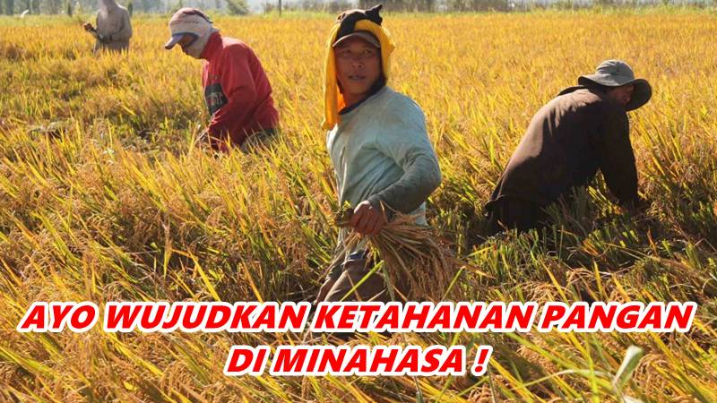 Agustivo Tumundo: Ketahanan Pangan Bukan Hal Mustahil Dicapai