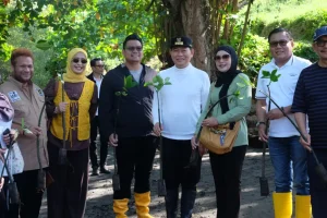 Pemerintah Pusat dan Pemprov Sulut Tanam Mangrove di Kawasan Grand Luley Manado