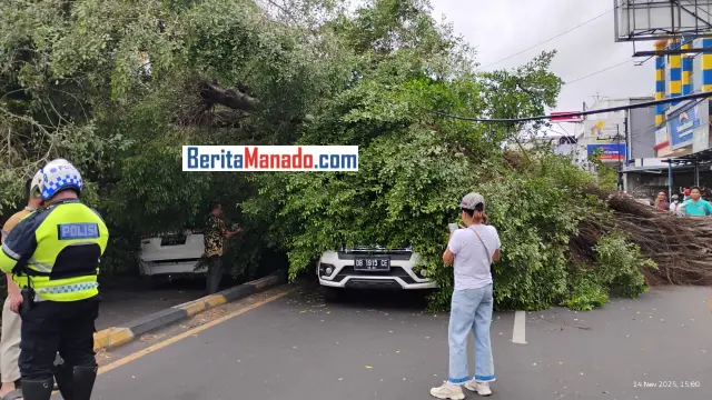 BREAKING NEWS: Pohon Tumbang di Bahu Malalayang Timpa Tiga Mobil