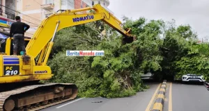Tidak Ada Korban Jiwa Dalam Peristiwa Pohon Tumbang di Bahu Malalayang