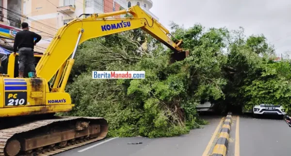 Tidak Ada Korban Jiwa Dalam Peristiwa Pohon Tumbang di Bahu Malalayang
