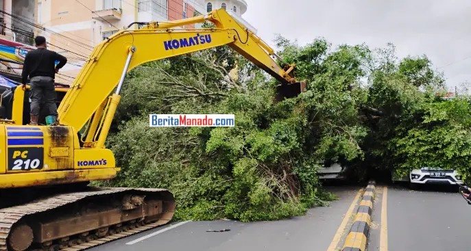 Tidak Ada Korban Jiwa Dalam Peristiwa Pohon Tumbang di Bahu Malalayang