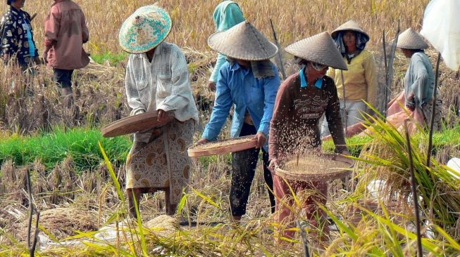 Pemerintah Mau Bagi Lahan Gratis ke 1 Juta Orang Miskin, Apa Motif Sebenarnya?