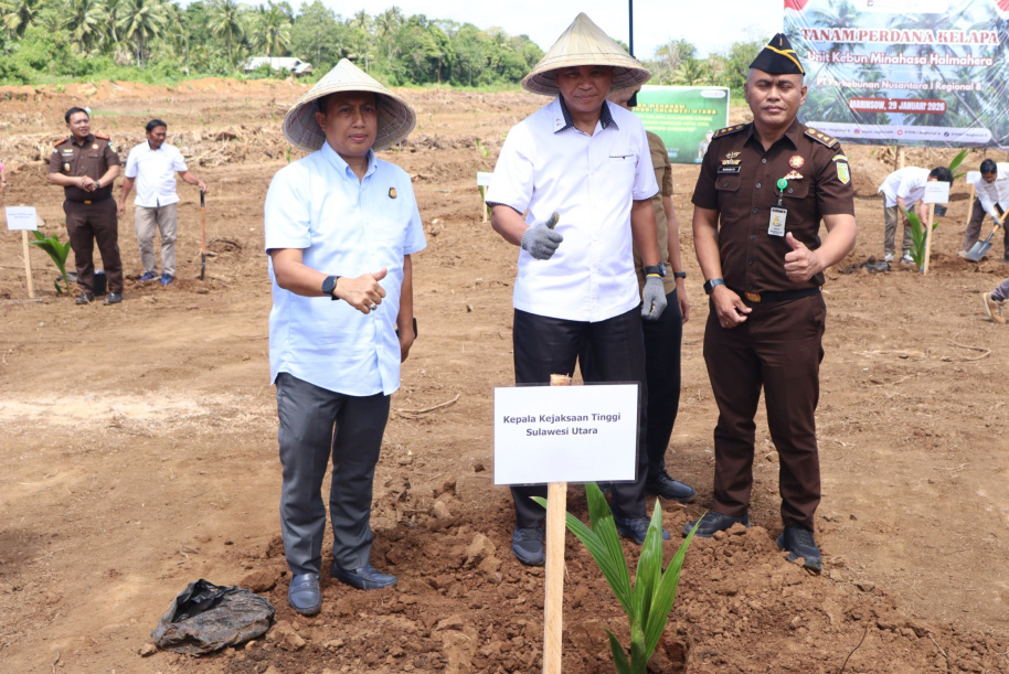 Perkuat Ketahanan Pangan, Kejati Sulut Tanam Kelapa di Minahasa Utara