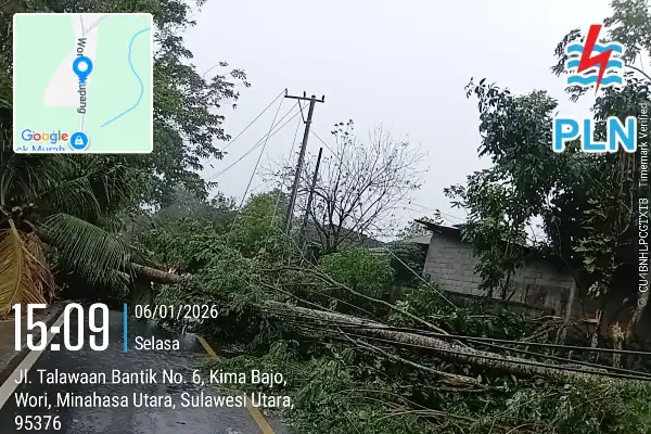 Hujan Deras dan Angin Kencang Landa Minahasa Utara, Pohon Tumbang dan Rumah Warga Rusak