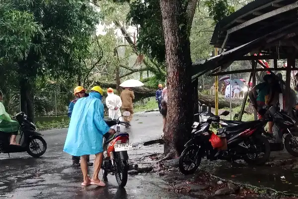 Hujan Deras dan Angin Kencang Landa Minahasa Utara, Pohon Tumbang dan Rumah Warga Rusak