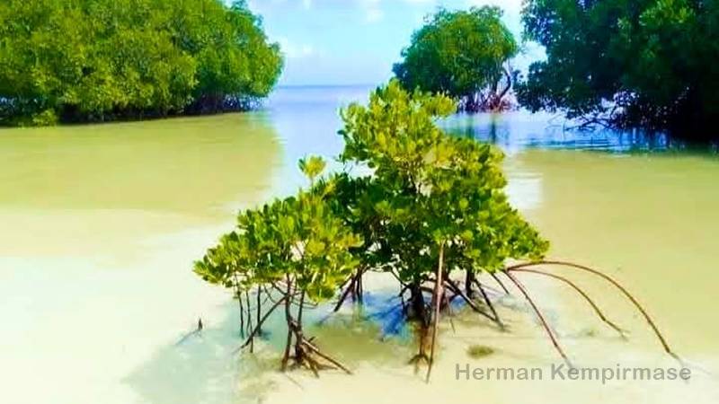 Herman Kempirmase Ajak Warga Kepulauan Tanimbar Jaga Ekosistem Pantai