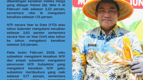 NTP Melejit, Pertanian Sulawesi Utara Kian Tangguh di Tengah Tekanan Ekonomi