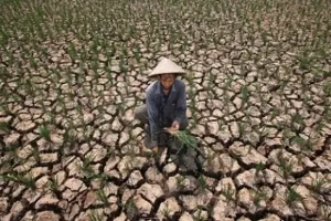 Musim Kemarau 2026 Diprediksi Tiba Cepat dan Lebih Kering, Warga Diminta Antisipasi