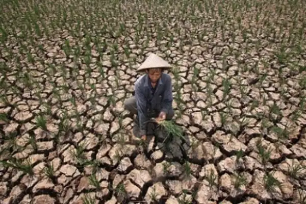 Musim Kemarau 2026 Diprediksi Tiba Cepat dan Lebih Kering, Warga Diminta Antisipasi