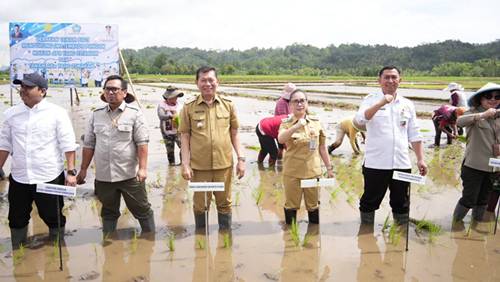 Minahasa Siap Berkontribusi Wujudkan Swasembada Pangan