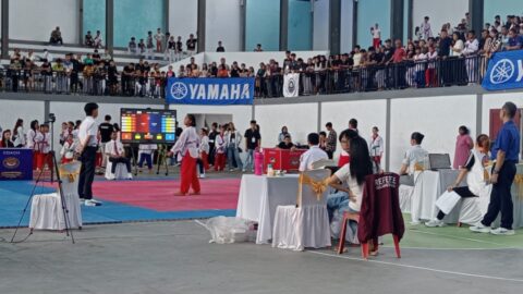 950 Atlet Ramaikan Open Turnamen Taekwondo Wali Cup Champion Bitung, Junjung Tinggi Sportivitas dan Semangat Juang