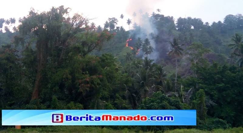 Jemmy Ringkuangan: Kesiapsiagaan Kunci Hadapi Kemarau Sulut 2026 8 Ilustrasi kebakaran hutan dan lahan yang diantisipasi Pemprov Sulut jelang kemarau 2026.