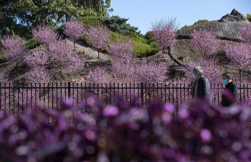 Studi Australia: Mengisap Vape Berpotensi Picu Kanker 8 Orang-orang berjalan melewati taman yang ditutup di Sydney, Australia, pada 16 Agustus 2021. (Xinhua/Bai Xuefei)