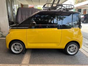 Alasan Warga Indonesia Lirik Mobil Listrik China
