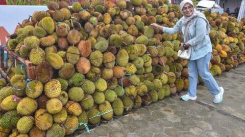 Indonesia Telah Ekspor 4.077 Ton Durian Beku ke China Sepanjang Tahun Ini