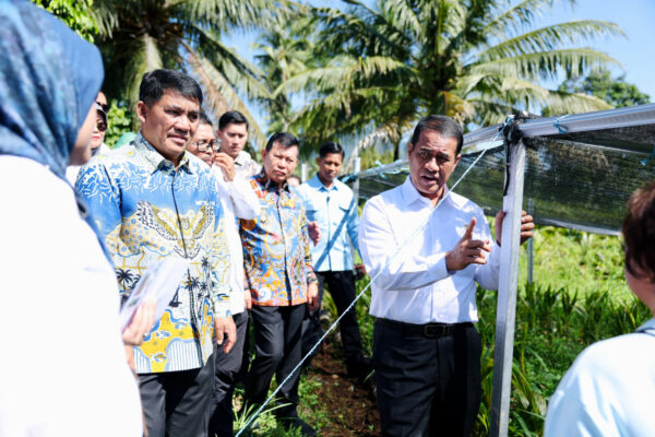 Kementan Setujui Bantuan Bibit Jagung 15 Ribu Hektare, Mentan Amran Puji Kepemimpinan Gubernur Yulius Selvanus