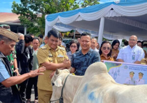 Plt Bupati Heronimus Makainas Pastikan Bantuan Kurban Pemprov Sulut Tiba di Sitaro, Penyaluran Diminta Tepat Sasaran