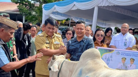 Plt Bupati Heronimus Makainas Pastikan Bantuan Kurban Pemprov Sulut Tiba di Sitaro, Penyaluran Diminta Tepat Sasaran