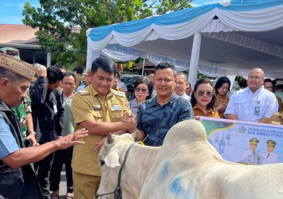 Plt Bupati Heronimus Makainas Pastikan Bantuan Kurban Pemprov Sulut Tiba di Sitaro, Penyaluran Diminta Tepat Sasaran 8 Plt Bupati Heronimus Makainas Pastikan Bantuan Kurban Pemprov Sulut Tiba di Sitaro, Penyaluran Diminta Tepat Sasaran