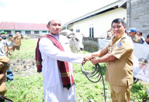 Hadirkan Semangat Berbagi, Gubernur Yulius Selvanus Serahkan Sapi Kurban Bantuan Presiden RI