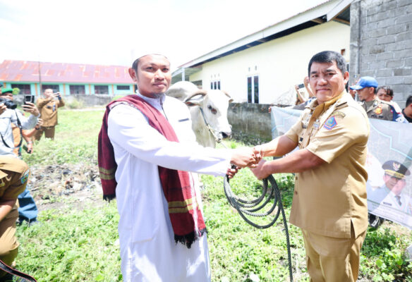Hadirkan Semangat Berbagi, Gubernur Yulius Selvanus Serahkan Sapi Kurban Bantuan Presiden RI 8 Hadirkan Semangat Berbagi, Gubernur Yulius Selvanus Serahkan Sapi Kurban Bantuan Presiden RI