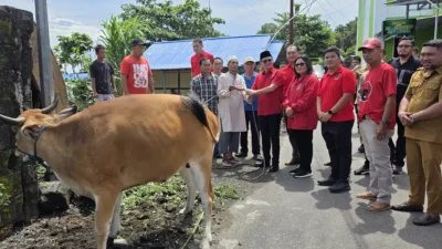Joune Ganda: Kurban Bukan Sekadar Tradisi, Ini Bukti PDI Perjuangan Hadir untuk Semua Umat