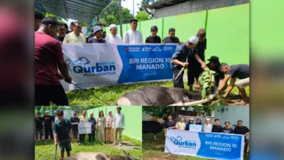 Momen Idul Adha di RSUP Kandou: Sepuluh Sapi dan Satu Kambing Dikurbankan, Kepedulian Jadi Pesan Utama