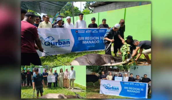 Momen Idul Adha di RSUP Kandou: Sepuluh Sapi dan Satu Kambing Dikurbankan, Kepedulian Jadi Pesan Utama