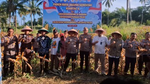 Wali Kota Hengky Honadar dan Kapolres Albert Zai Perkuat Sinergi Ketahanan Pangan Lewat Panen Raya Jagung Nasional